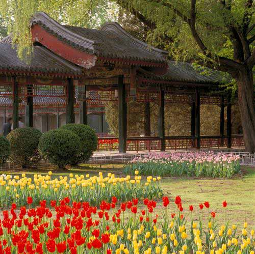 Zhongshan Park 